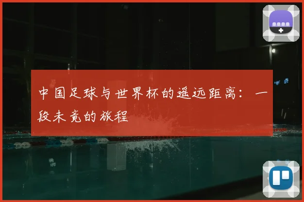 中国足球与世界杯的遥远距离:一段未竟的旅程