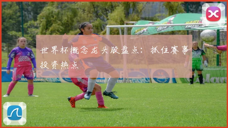 世界杯概念龙头股盘点:抓住赛事投资热点