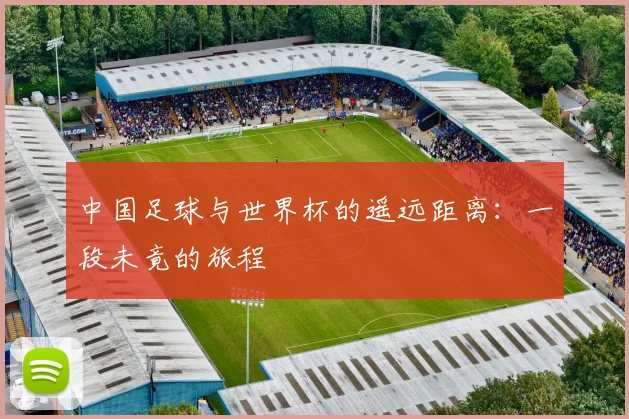 中国足球与世界杯的遥远距离:一段未竟的旅程