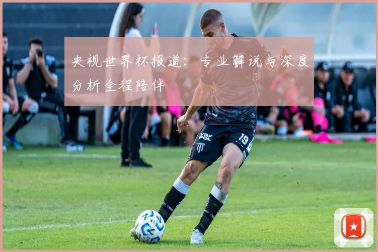 央视世界杯报道：专业解说与深度分析全程陪伴