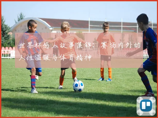 世界杯感人故事集锦：赛场内外的人性温暖与体育精神