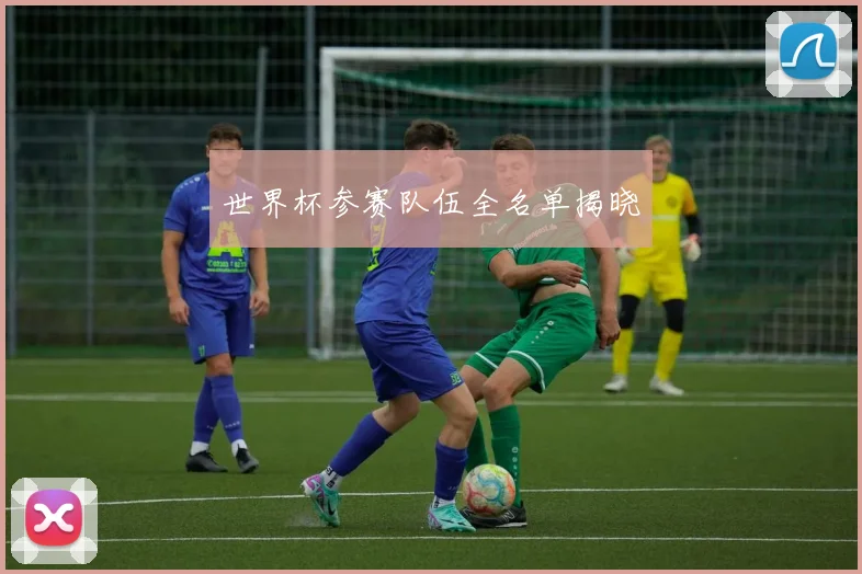世界杯参赛队伍全名单揭晓