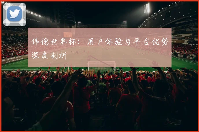 伟德世界杯：用户体验与平台优势深度剖析